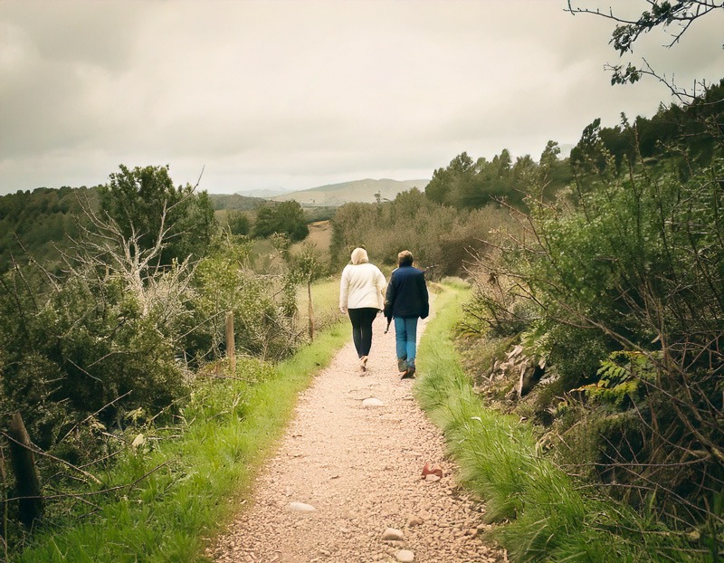 Two people walking side by side on a nature path with one slightly ahead guiding the way, symbolizing therapeutic journey and supportive guidance